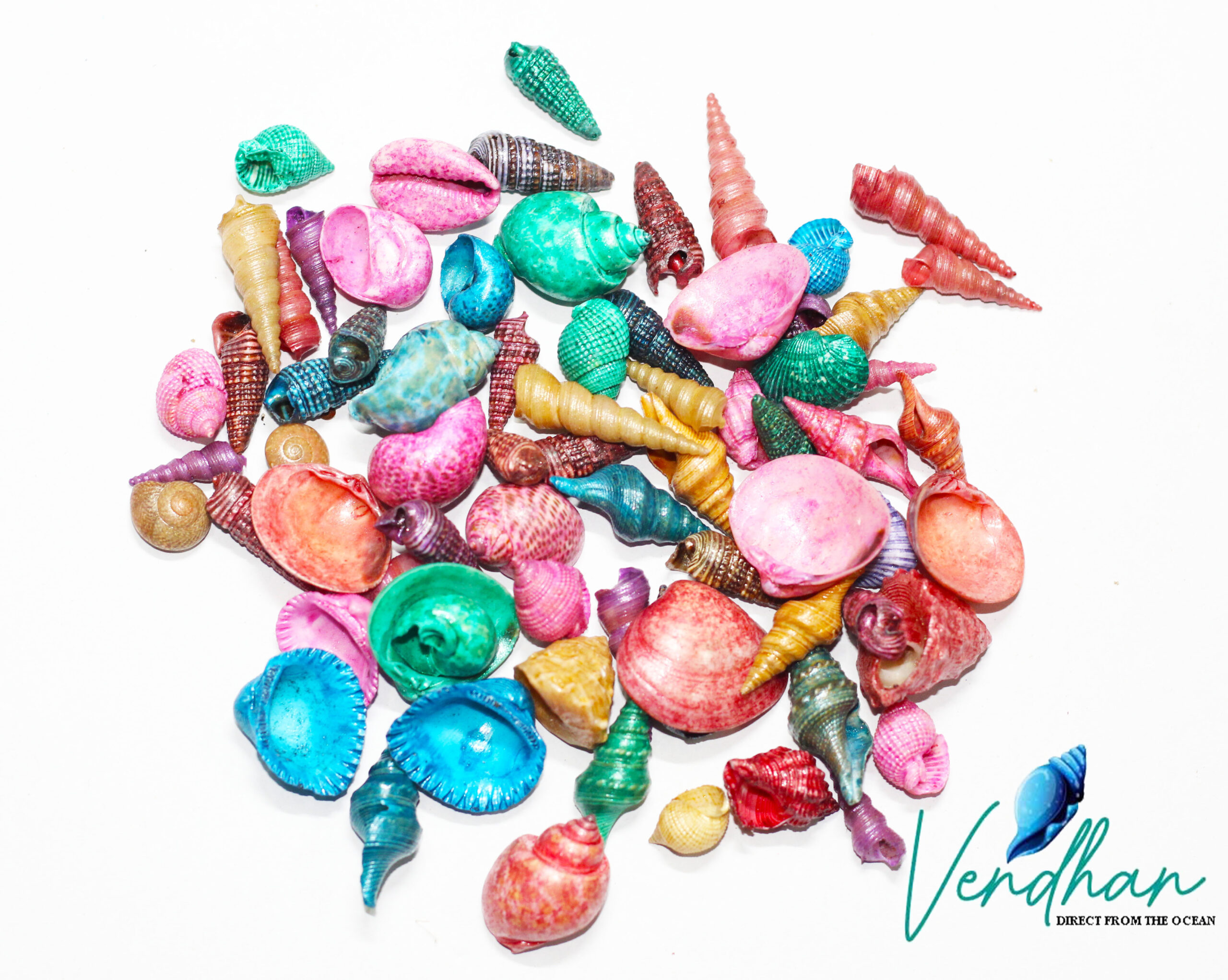 Vendhan Natural Color Seashell Mixed (Small Size - 1KG)