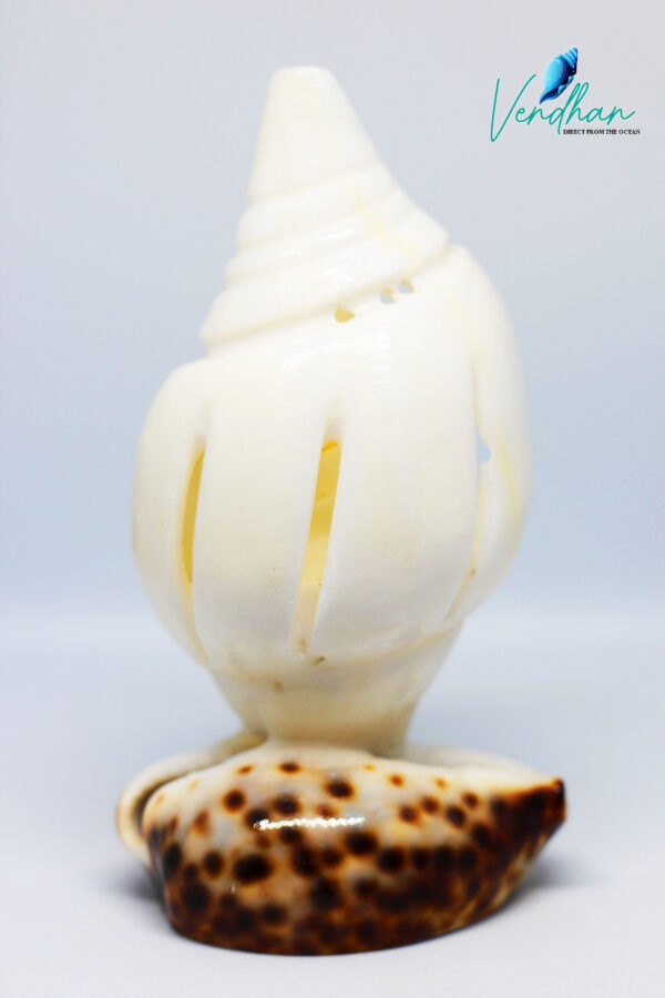 Vendhan Seashell Agarbatti Stand ( Incense holder )