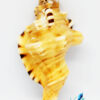 Genuine Ganesh Shankh