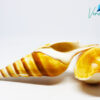 Tibia Curta Shell